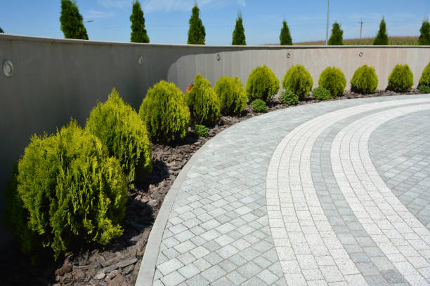 Best Decorative Driveway Pavers  in Svis, IL